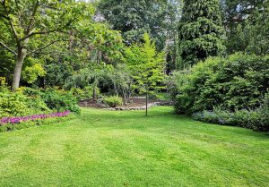 Optimiser l'expérience du jardin à Lariviere-Arnoncourt